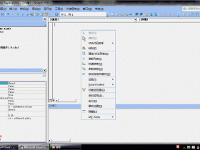 EXCEL VBA代码助手2.2版 VBE中随时随地收藏及插入代码 免费开源 用过都说好!