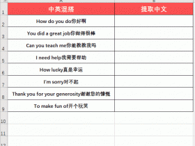 不加班的秘密：中英文混搭，一招就能单独提取出中文或英文！