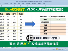 【视频教程】Excel查找函数VLOOKUP局部关键字模糊匹配的使用方法 案例详解 通配符