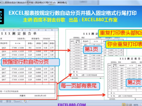 【视频教程】EXCEL报表按固定行数自动分页并插入固定格式页尾表尾打印 VBA代码 表头表尾固定