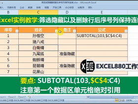 【视频教程】Excel 筛选隐藏行以及删除行后仍然保持序号连续