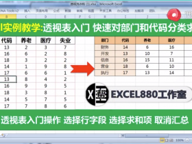 【视频教程】Excel透视表还不会的看过来 实例入门 透视表快速汇总数据 透视表入门 相同项目自动求和 分类汇总