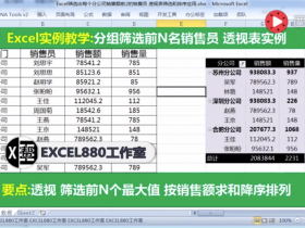 【视频教程】Excel按分公司分别筛选出销售额前2名的销售员 透视表入门实践 求多项最大最小值