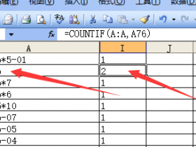 Excel函数公式--Countif统计*等带通配符数据出现错误的处理方案