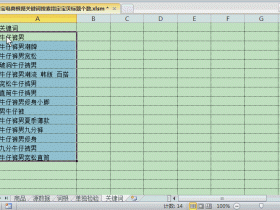 淘宝电商根据关键词搜索指定宝贝标题个数 生意参谋数据分析 关键字排列组合筛选 Excel  vba工具定制