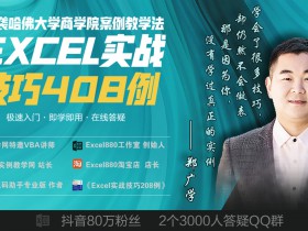 Excel实战技巧408例 无理论纯实战 零基础极速入门 小菜鸟快速提高 函数 操作 图表 培训 案例 Exce880实例视频教程 郑广学老师