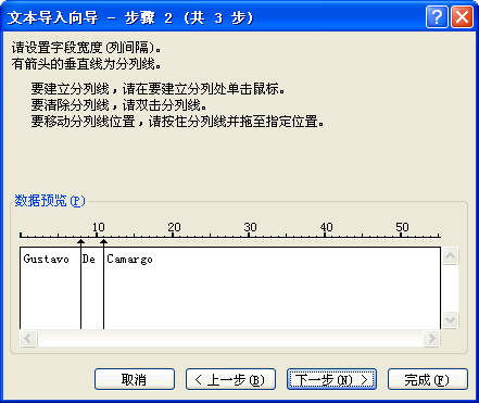文本分列向导 - 步骤 2 (共 3 步)